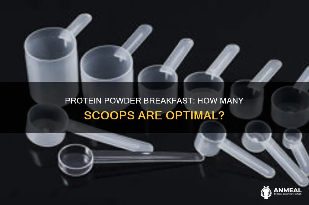 how many scoops of protein powder for breakfast