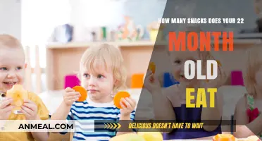 Snack Time for Toddlers: A Guide to Healthy Eating Habits