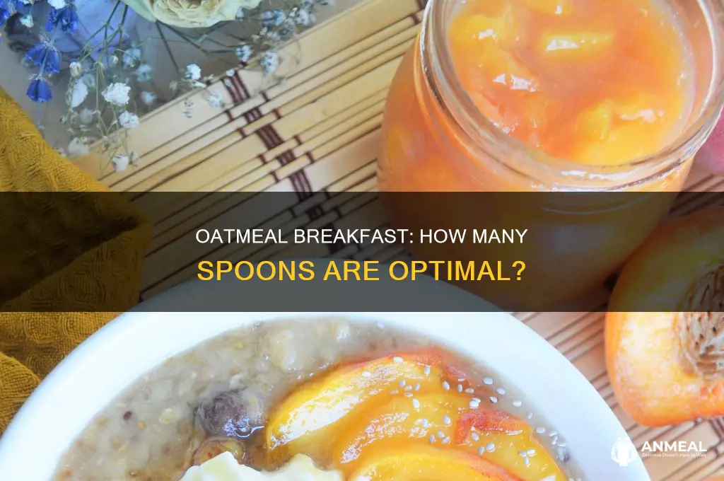 how many spoons of oatmeal for breakfast
