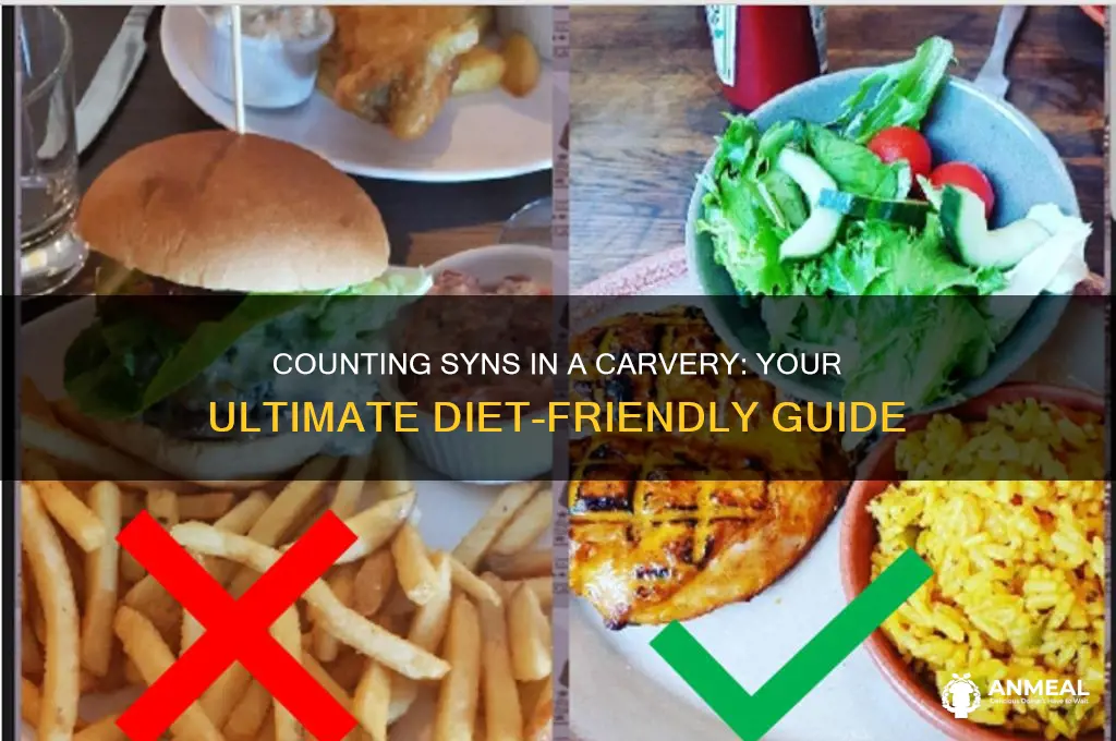 how many syns in a carvery dinner