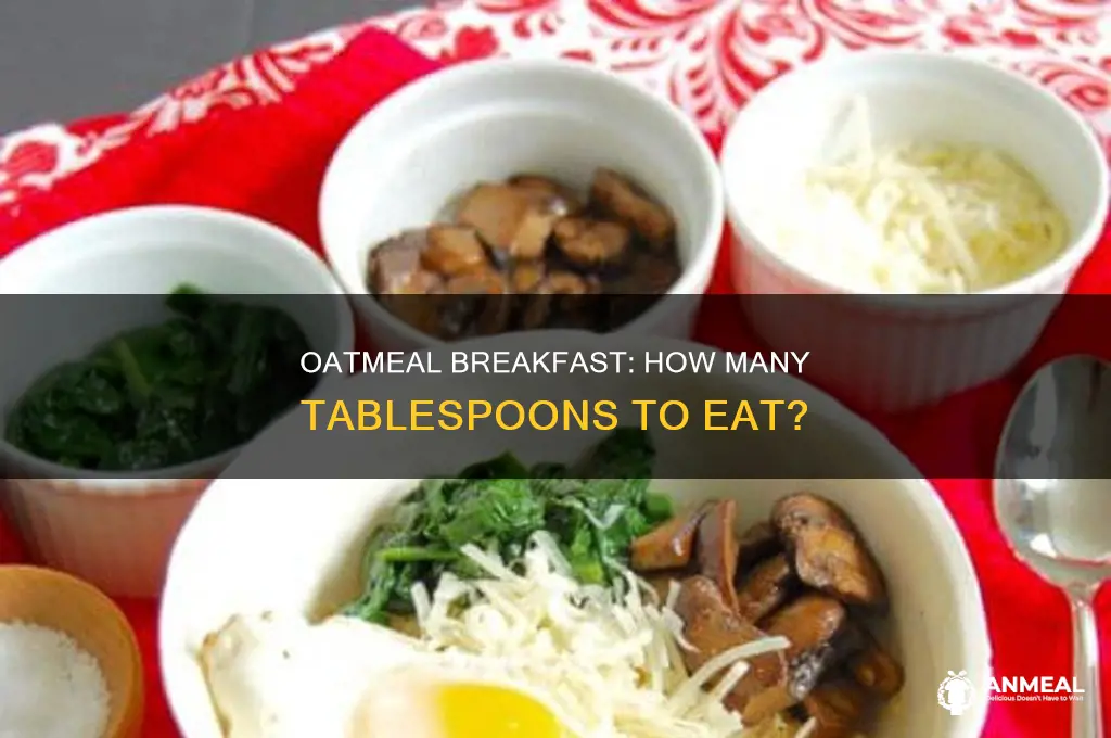 how many tablespoon of oatmeal for breakfast