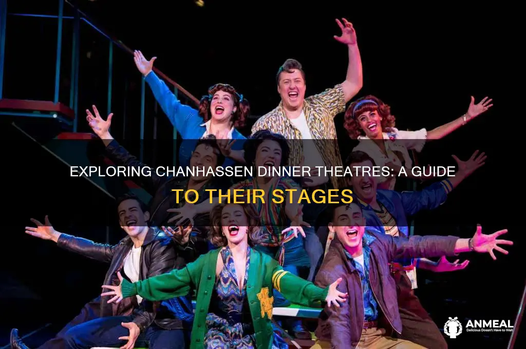 how many theater at chanhassen dinner
