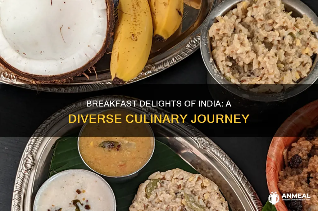 how many types of breakfast in india