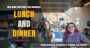 Smart WW Point Allocation for Breakfast, Lunch, and Dinner