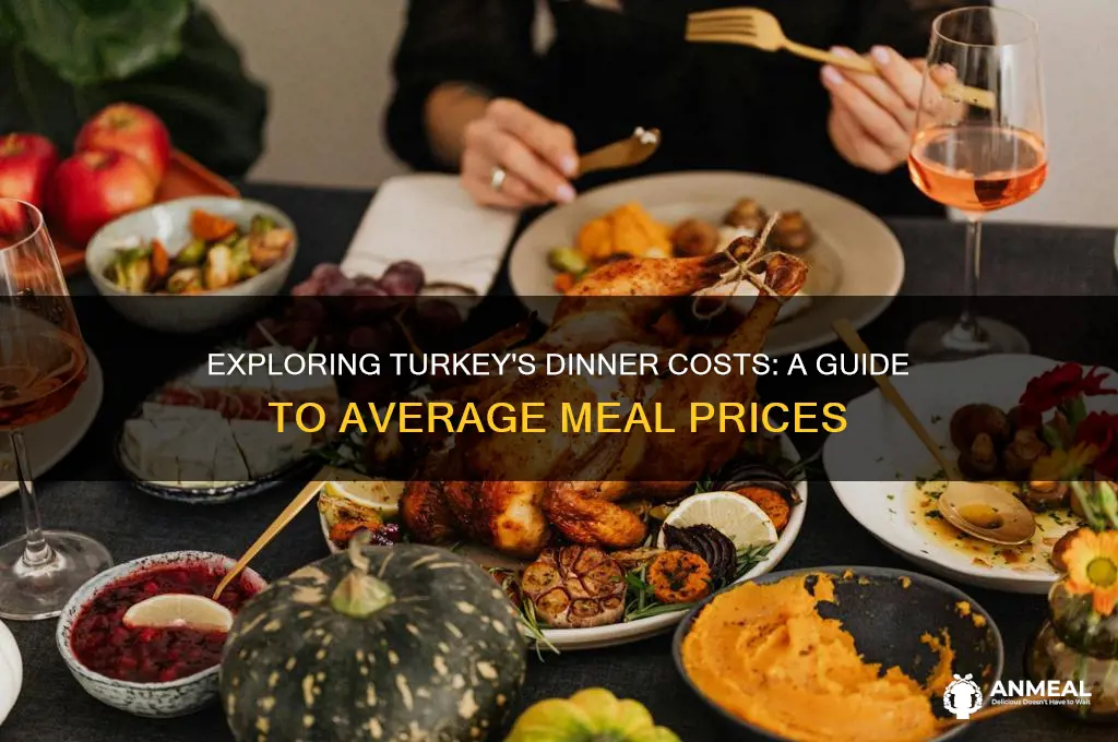 how muc does a typical dinner cost in turkey