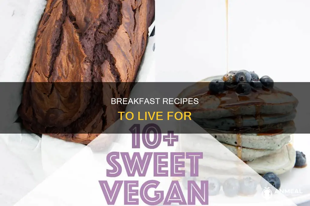 how not to die breakfast recipes