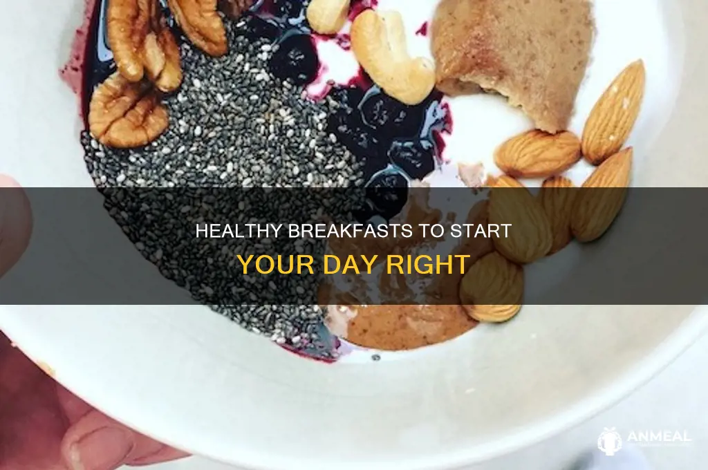 how not to die cookbook breakfast