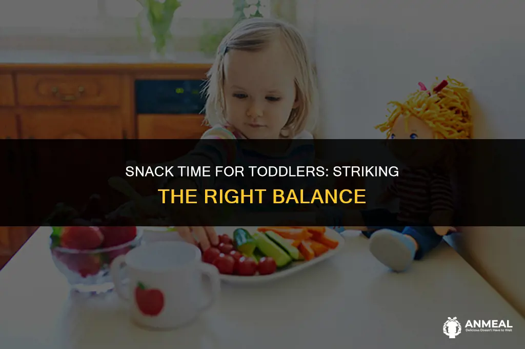 how often should a 2 year old eat snacks