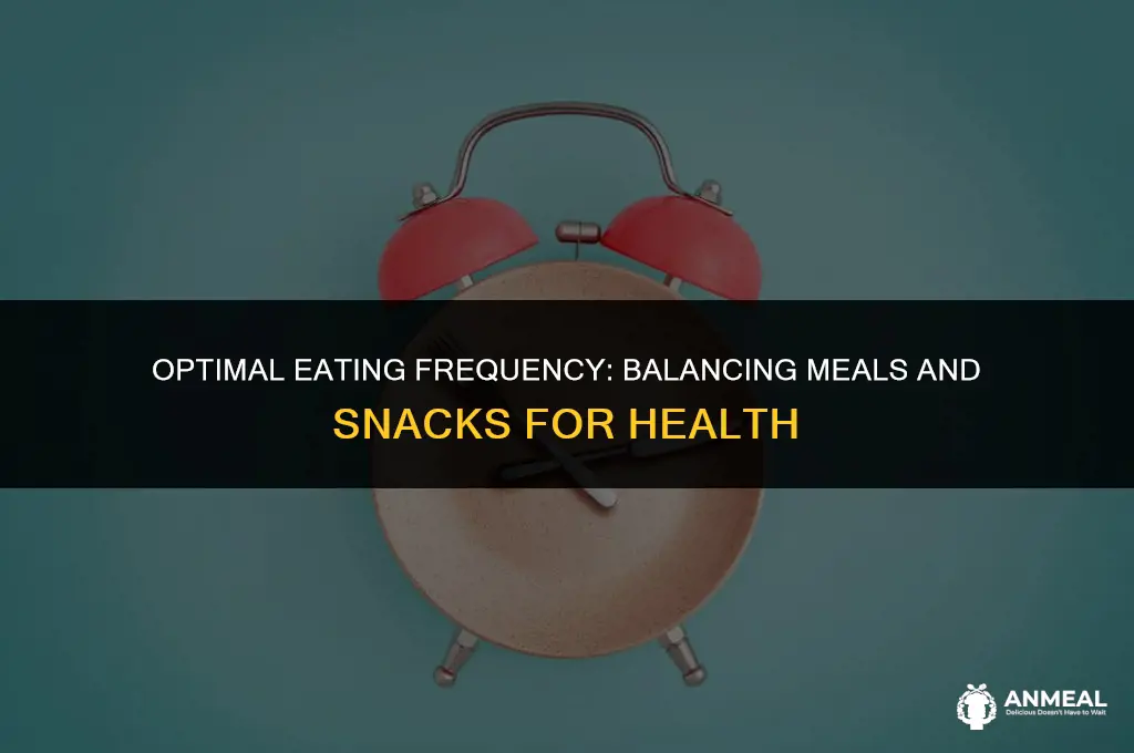 how often should you eat meals and snacks