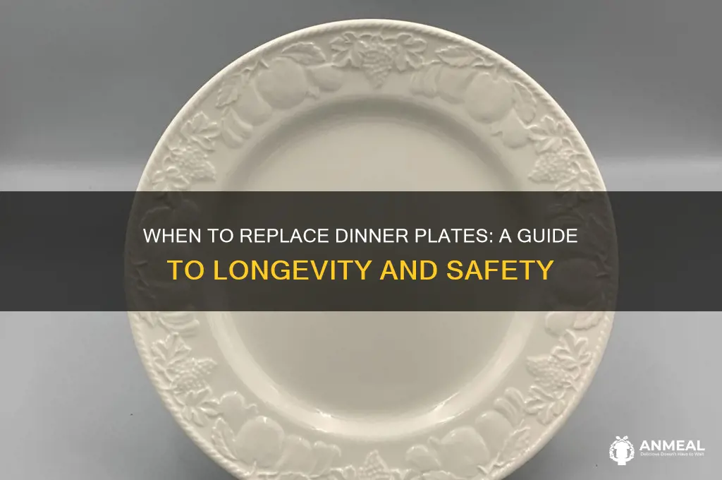 how often should you replace your dinner plates