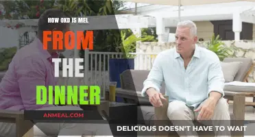 Mel from The Dinner: Unveiling Her Age and Character Journey