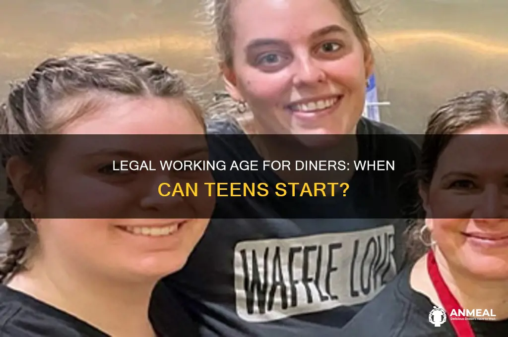 how old do you have to work in a dinner