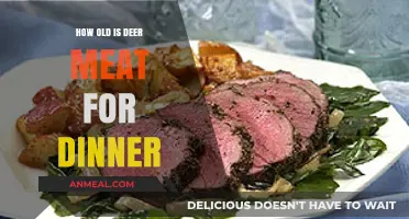 Deer Meat for Dinner: Unveiling the Timeless Tradition and Age-Old Recipes