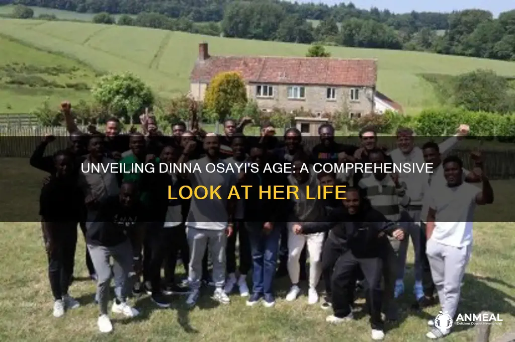 how old is dinna osayi