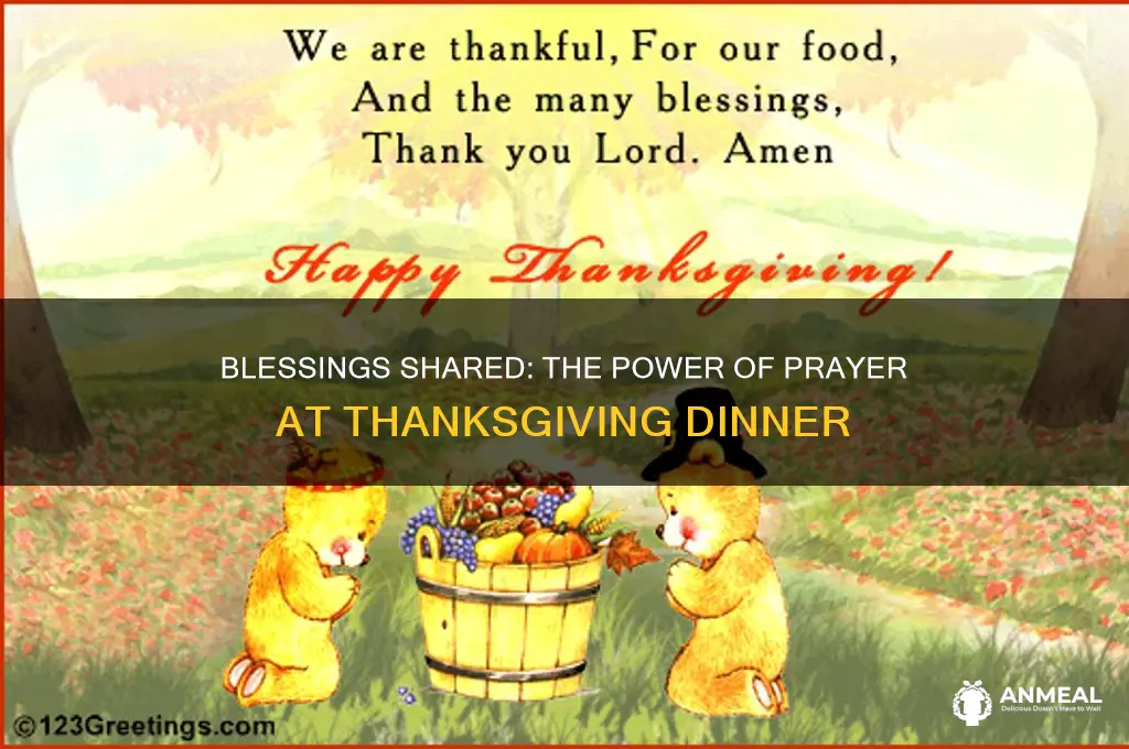 how prayer over thanks given dinner