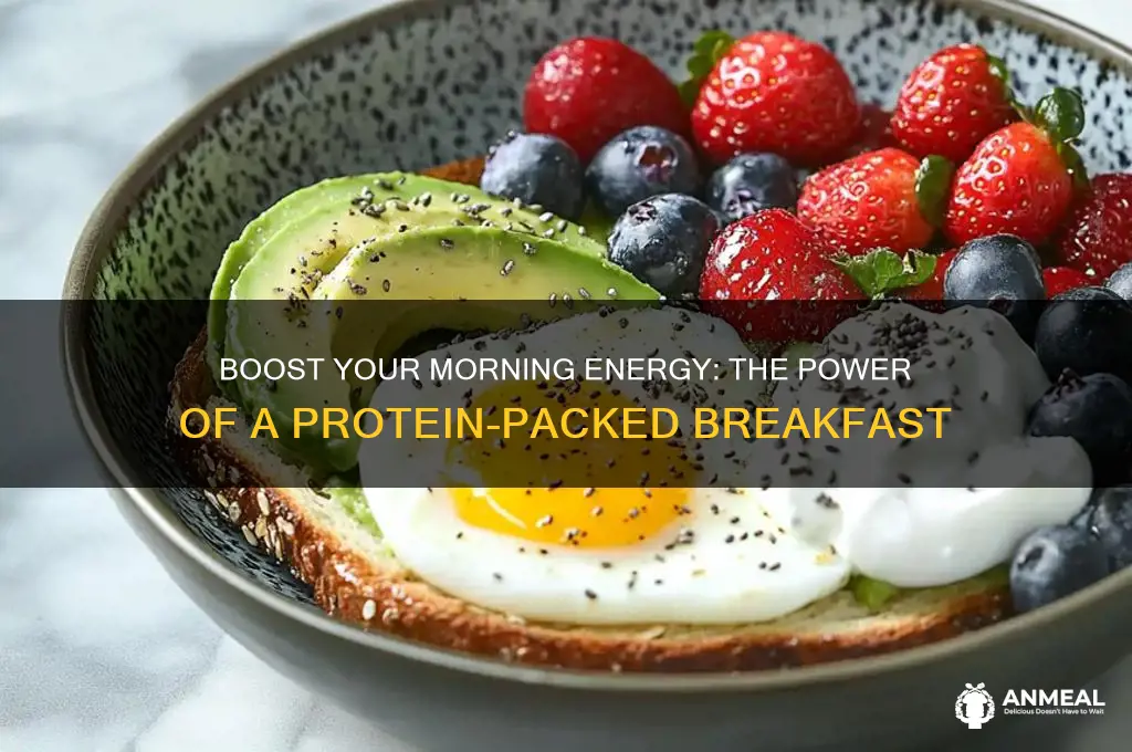 how protein breakfast