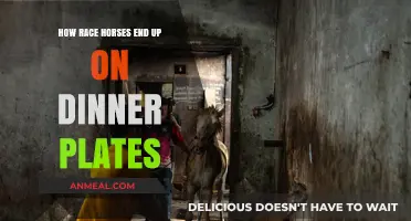 From Track to Table: The Shocking Fate of Retired Racehorses