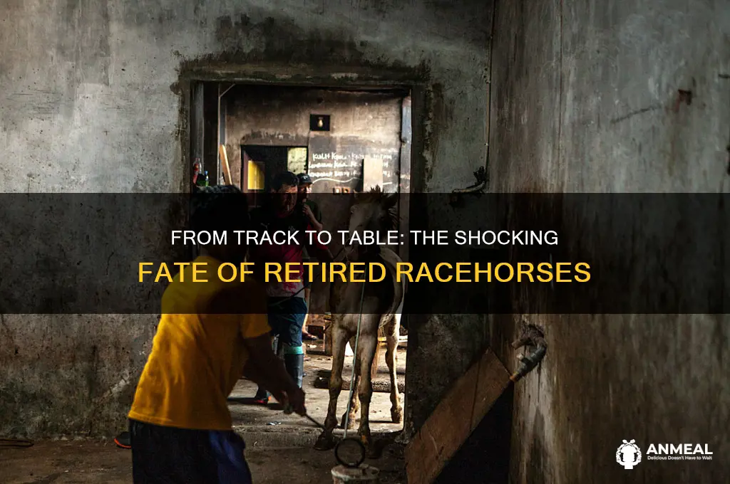 how race horses end up on dinner plates
