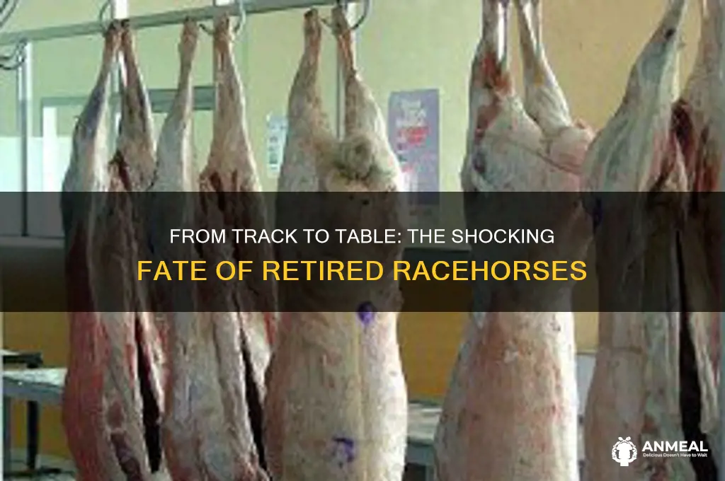 how racehorses end up on dinner plates