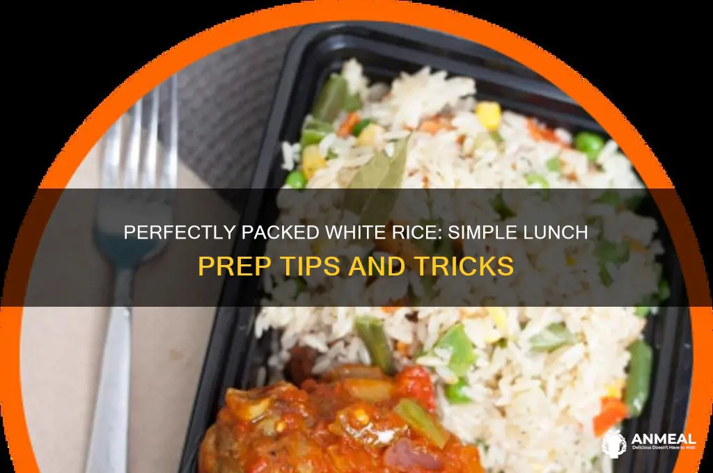 how ro pack white rice for lunch
