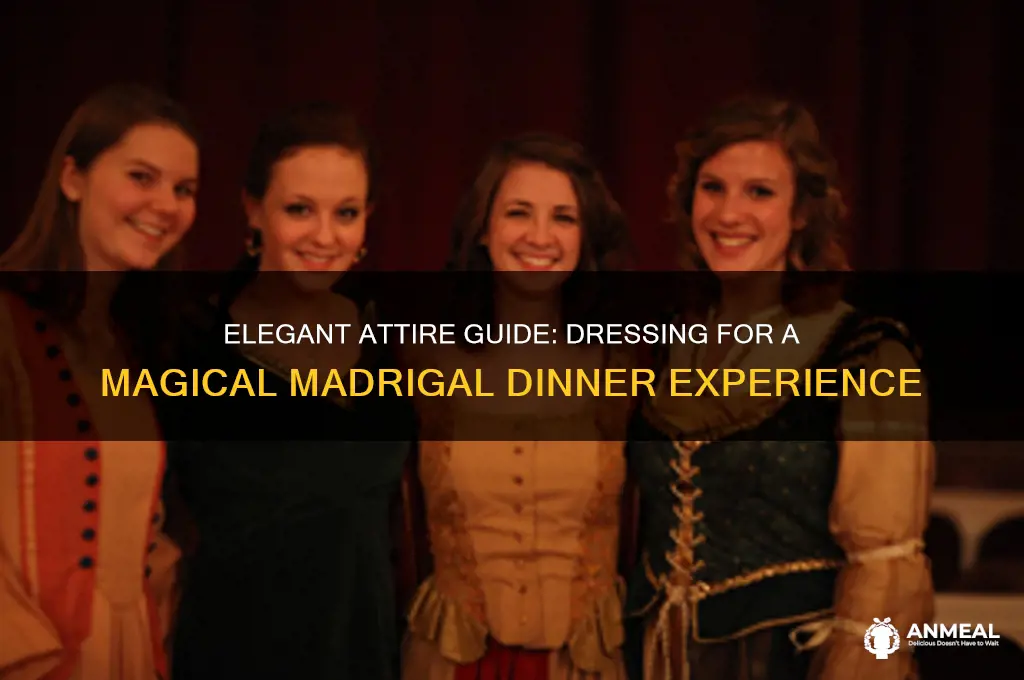 how should i dress for madrigal dinner