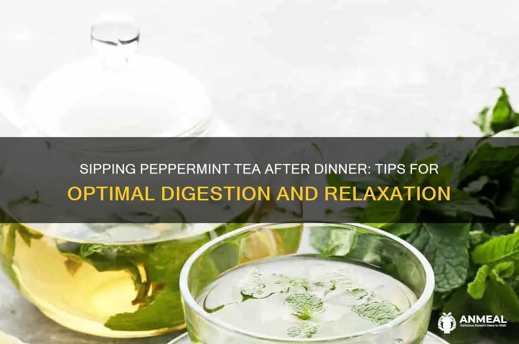 how should i drink peppeemint tea after dinner