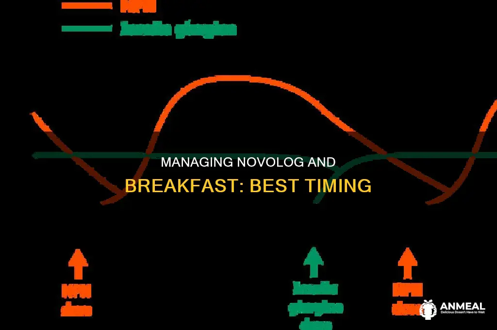how soon before breakfast do i take novolog