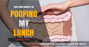 How Soon After Lunch Should You Expect a Bowel Movement?