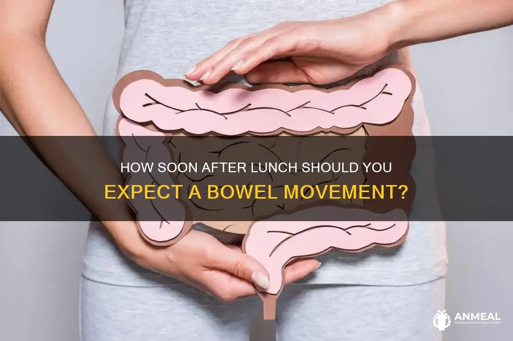 how soon should i be pooping my lunch