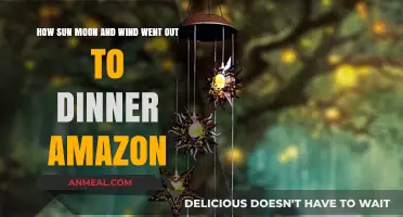 Sun, Moon, Wind's Amazon Dinner Adventure: A Whimsical Tale