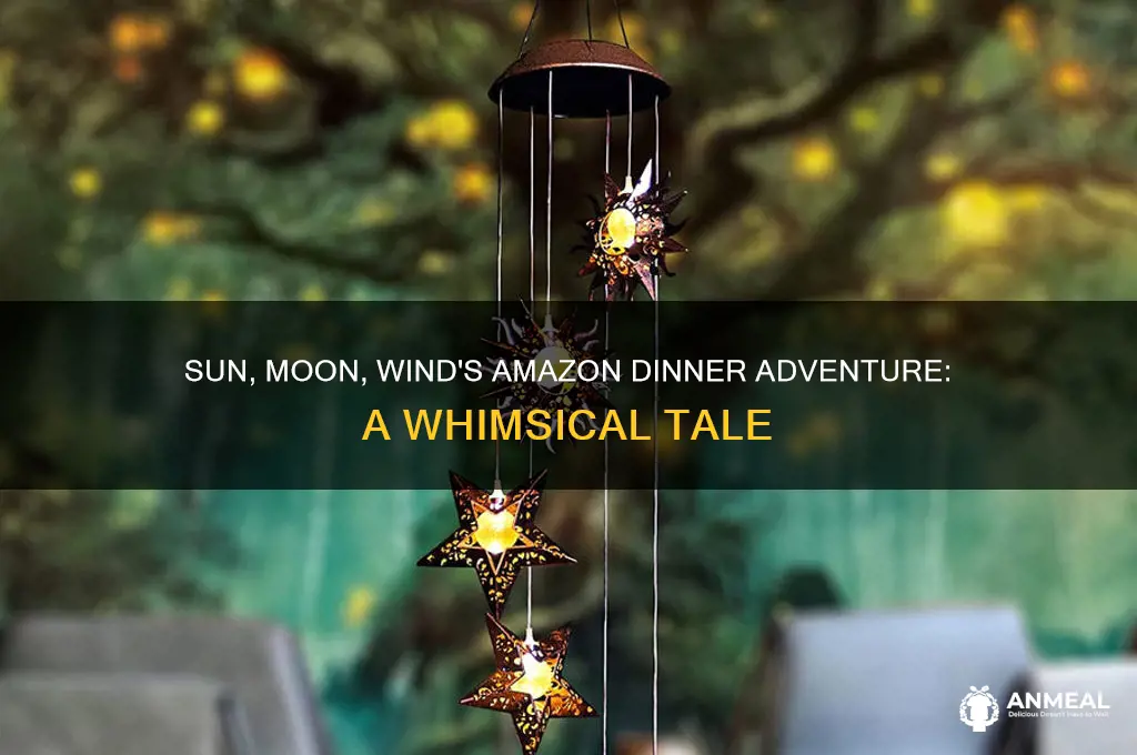 how sun moon and wind went out to dinner amazon