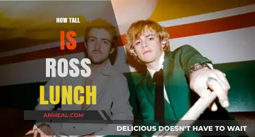 How Tall is Ross Lynch? Unveiling the Actor's Height Mystery