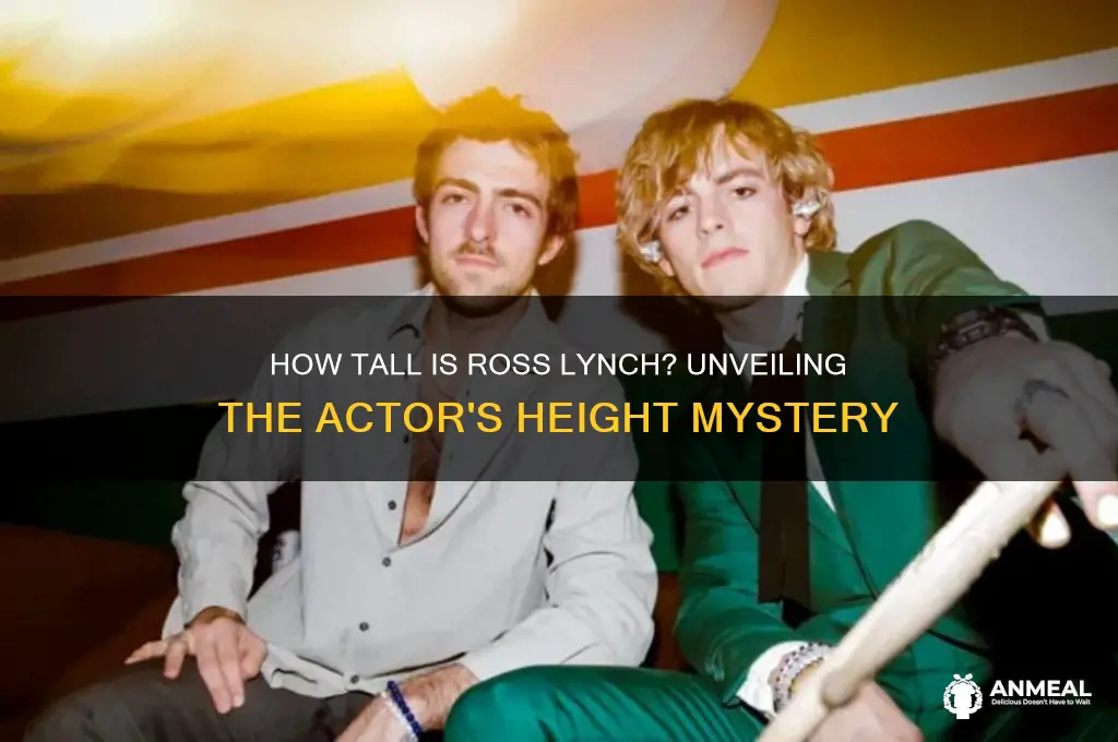 how tall is ross lunch