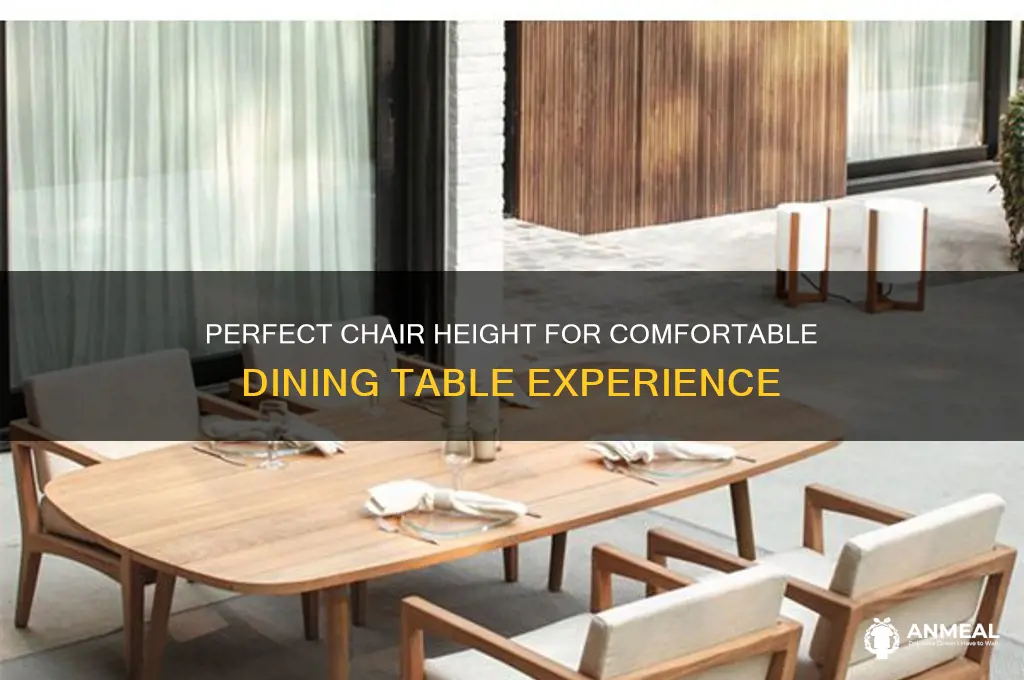 how tall should my chairs be at dinner table