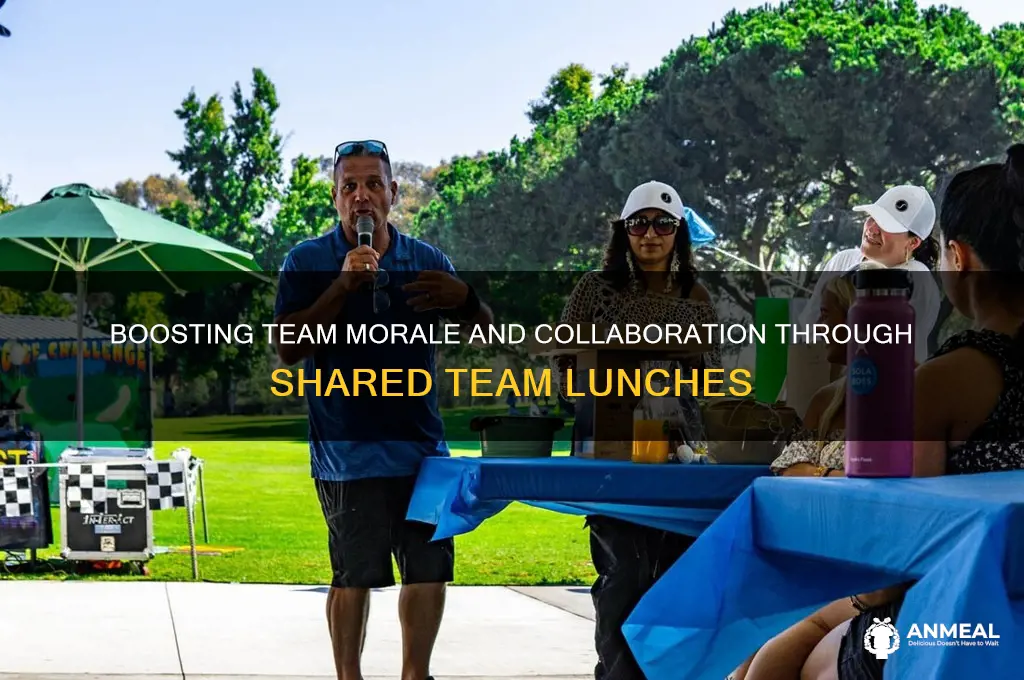 how team lunch is helpful for team