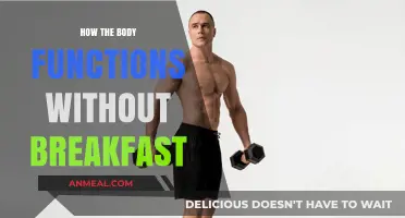 Skipping Breakfast: How Your Body Copes