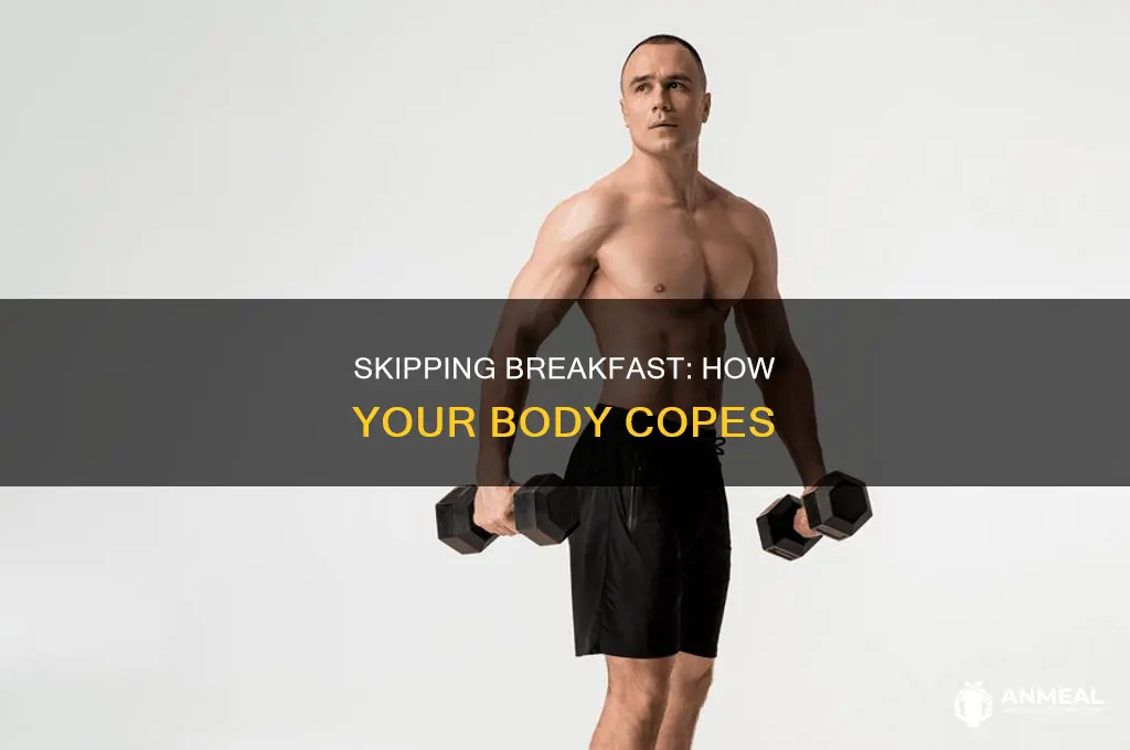 how the body functions without breakfast