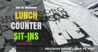 Greensboro Lunch Counter Sit-Ins: Sparking Civil Rights Movement Change