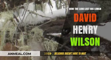 How the Lion Lost His Lunch: David Henry Wilson's Tale