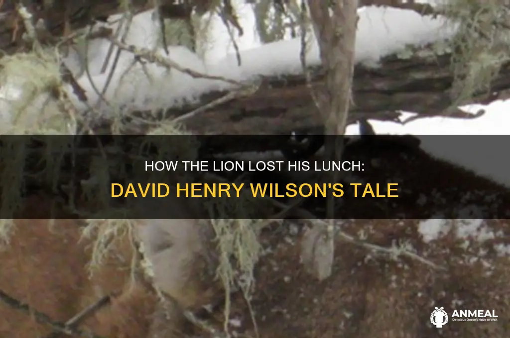how the lion lost his lunch david henry wilson