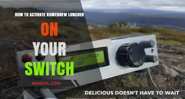Activate Homebrew Launcher on Your Nintendo Switch: A Step-by-Step Guide
