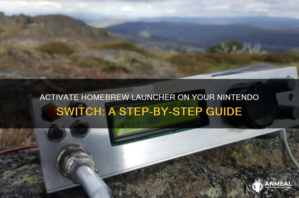 how to activate homebrew luncher on your switch