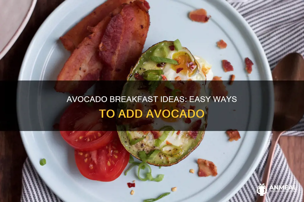 how to add avocado to your breakfast