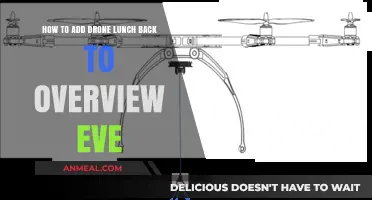Reintegrating Drone Lunch Feature into Overview Eve: A Step-by-Step Guide