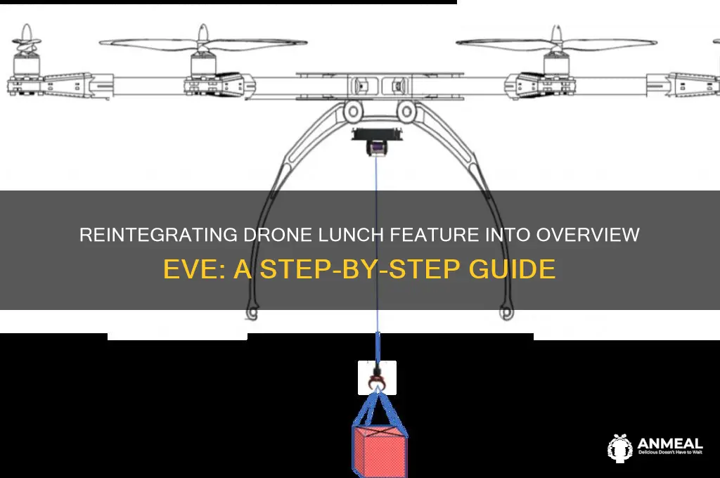 how to add drone lunch back to overview eve