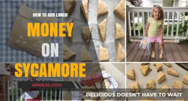 Quick Guide: Adding Lunch Money on Sycamore for Parents