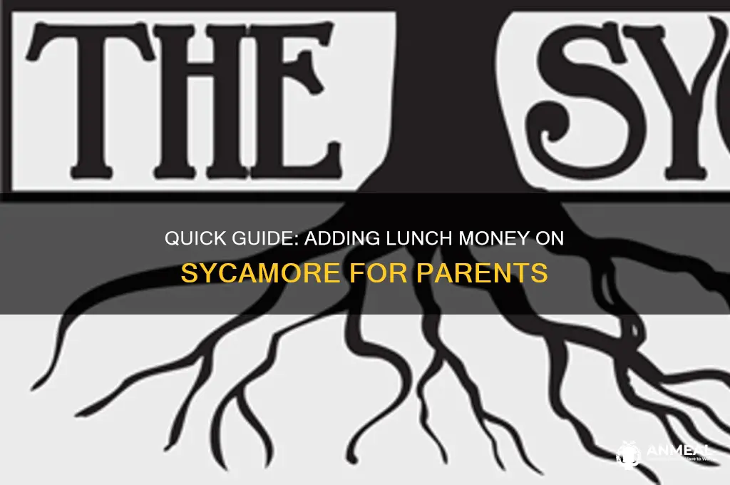 how to add lunch money on sycamore