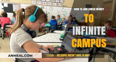 Quick Guide: Adding Lunch Money to Infinite Campus Easily