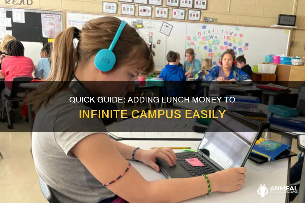 how to add lunch money to infinite campus