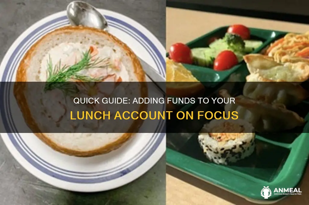 how to add money to lunch account on focus